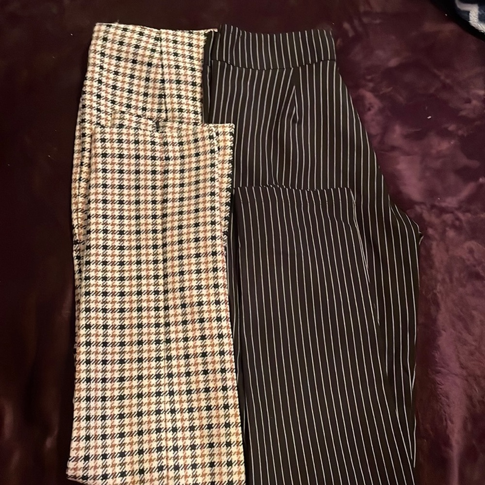 Dress pants